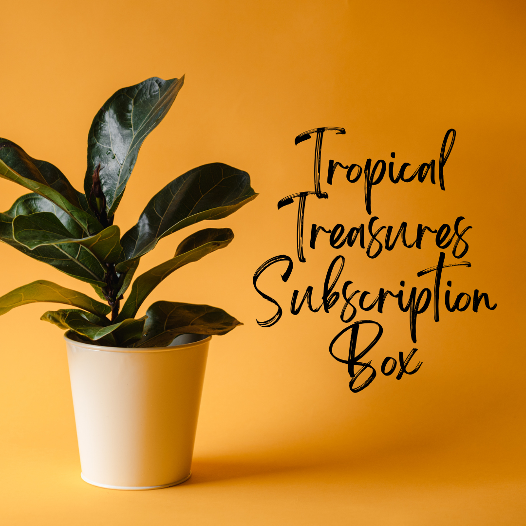 Tropical Treasures Subscription Box