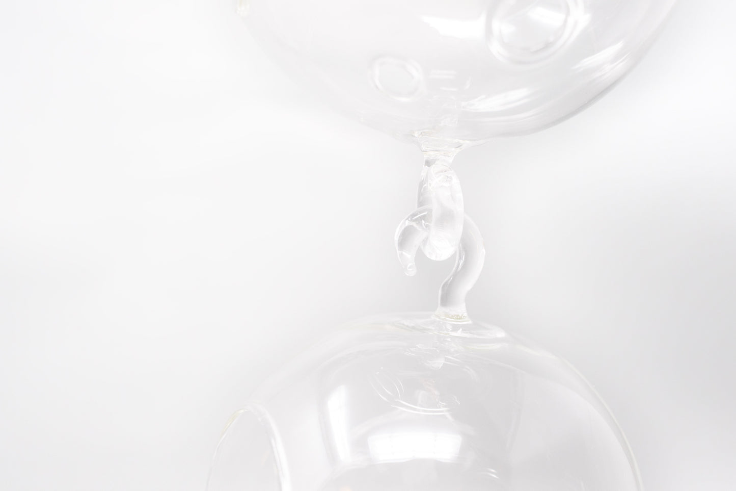 Terrarium Trio with Double Hooks and Tillandsia Juncea, Bulbosa, & Ionantha Air Plants