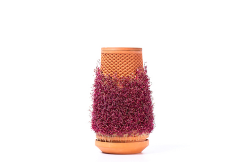 Tevaplanter : Self Watering Planter