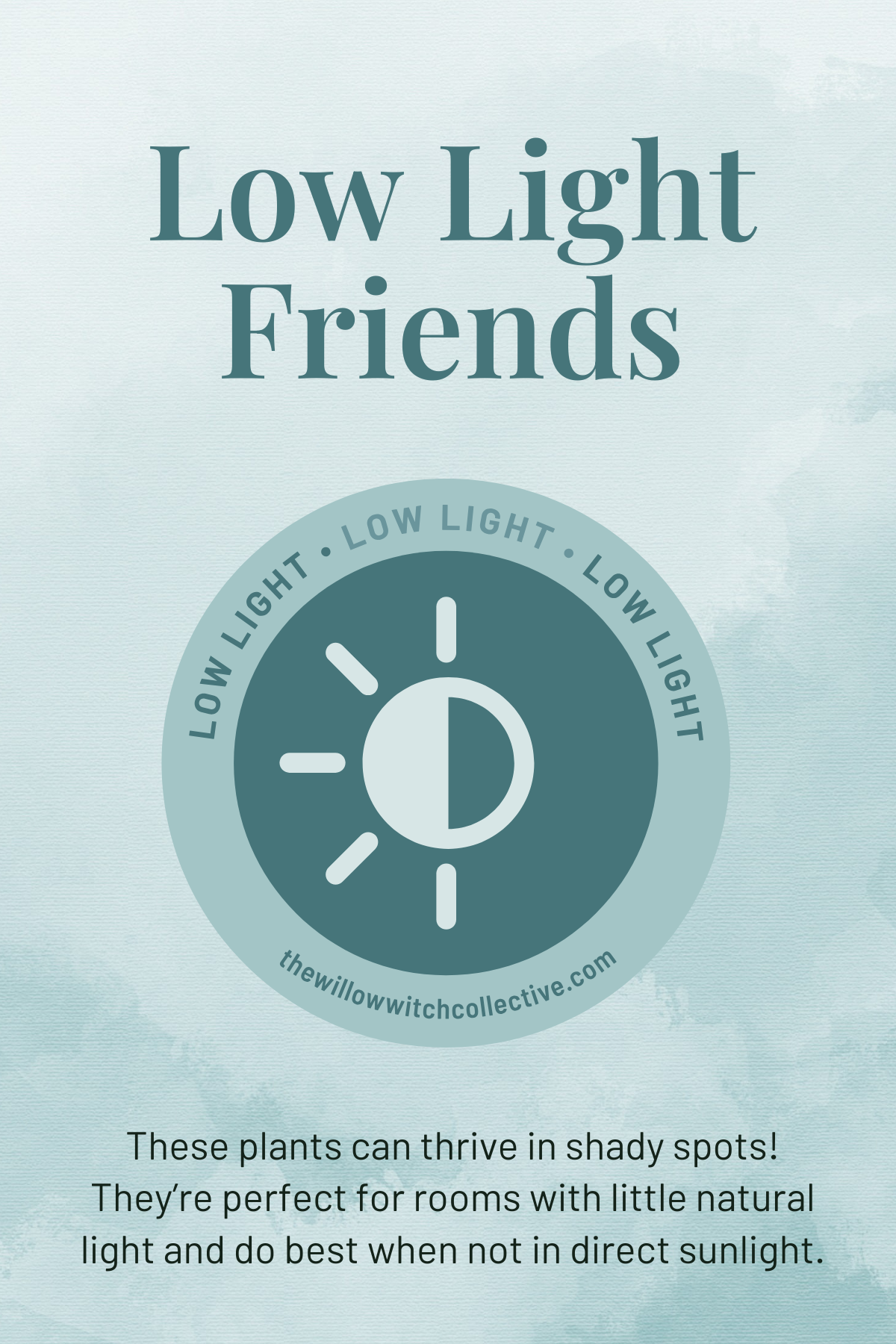 Low Light Friend Subscription Box