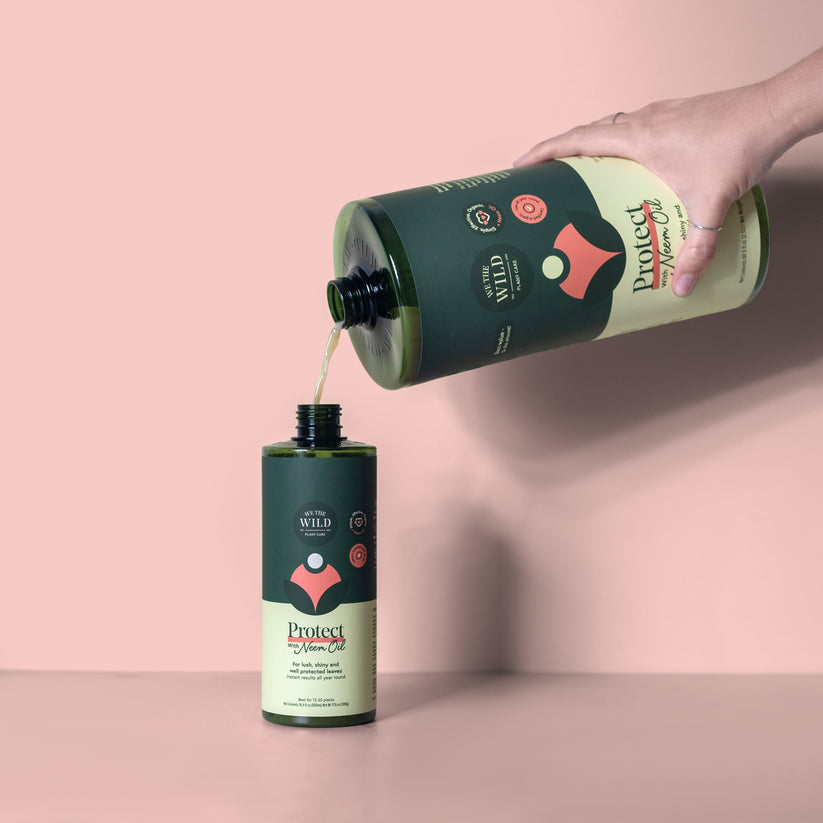 Protect Spray with Neem