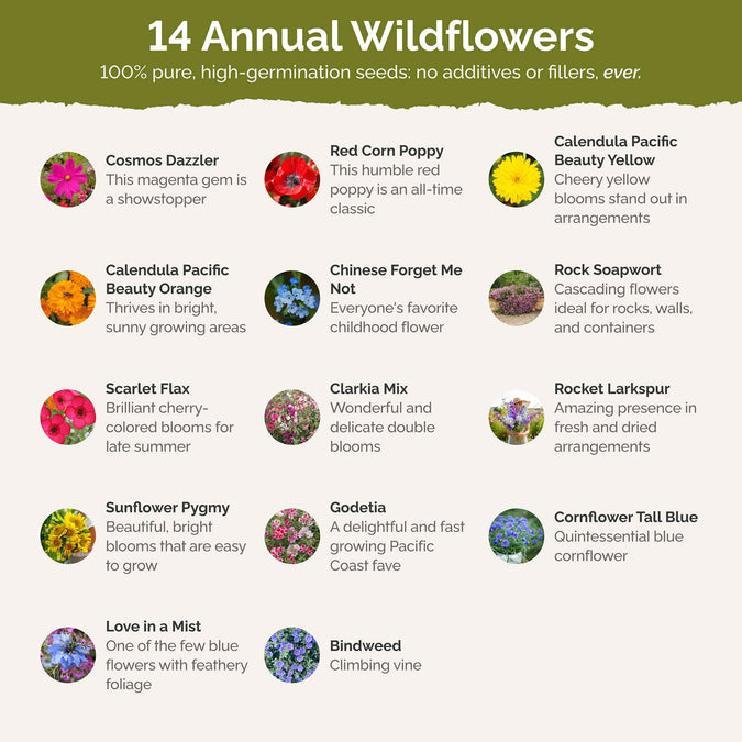 Fairytale Flower Seed Mix
