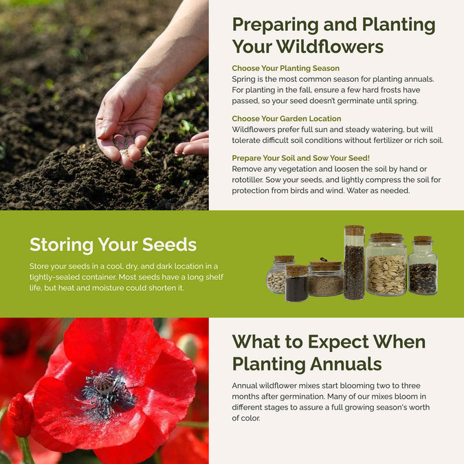 Fairytale Flower Seed Mix