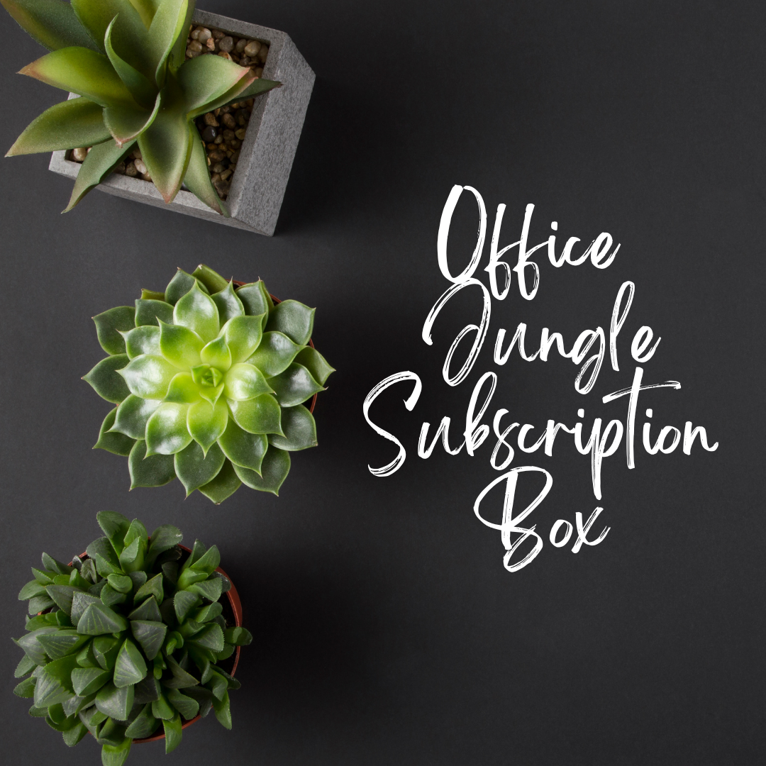Office Jungle Subscription Box
