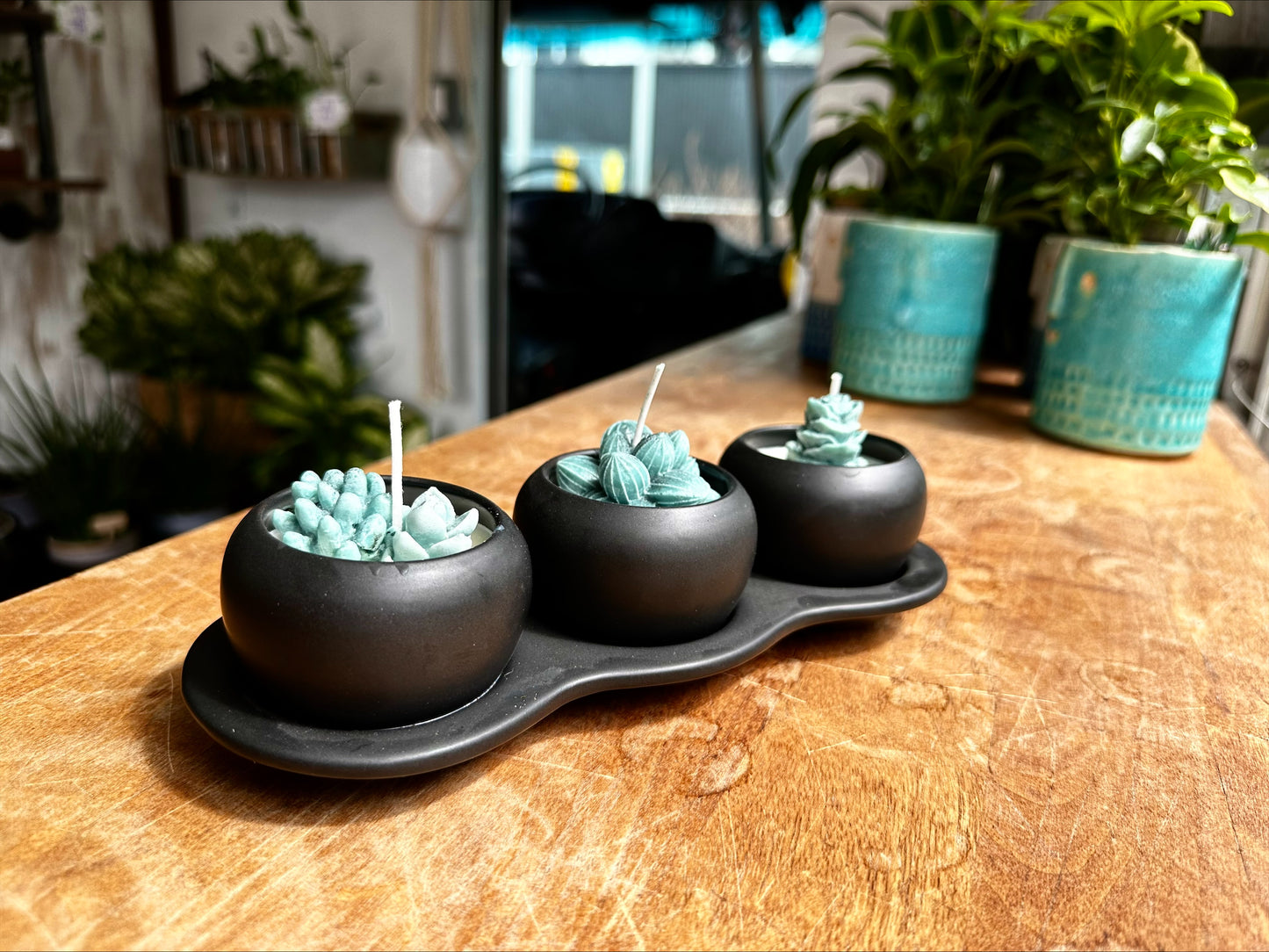 Succulent Trio Candles