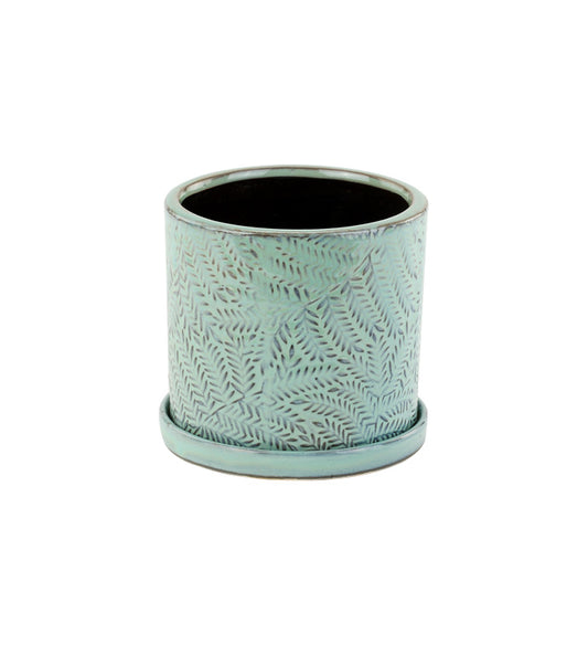 Blue Fern Pot - 4.5"