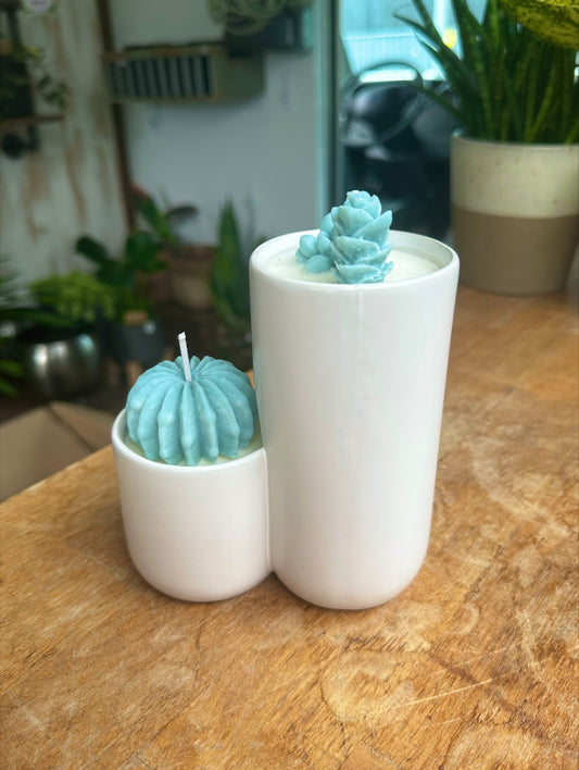 2-Tier Succulent Candle