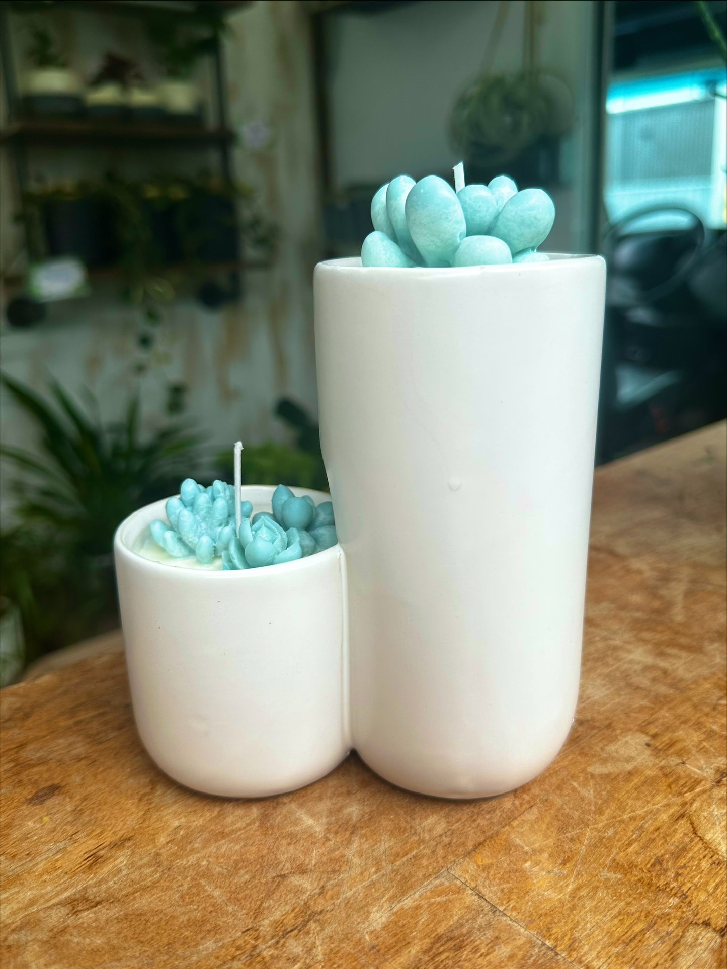 2-Tier Succulent Candle