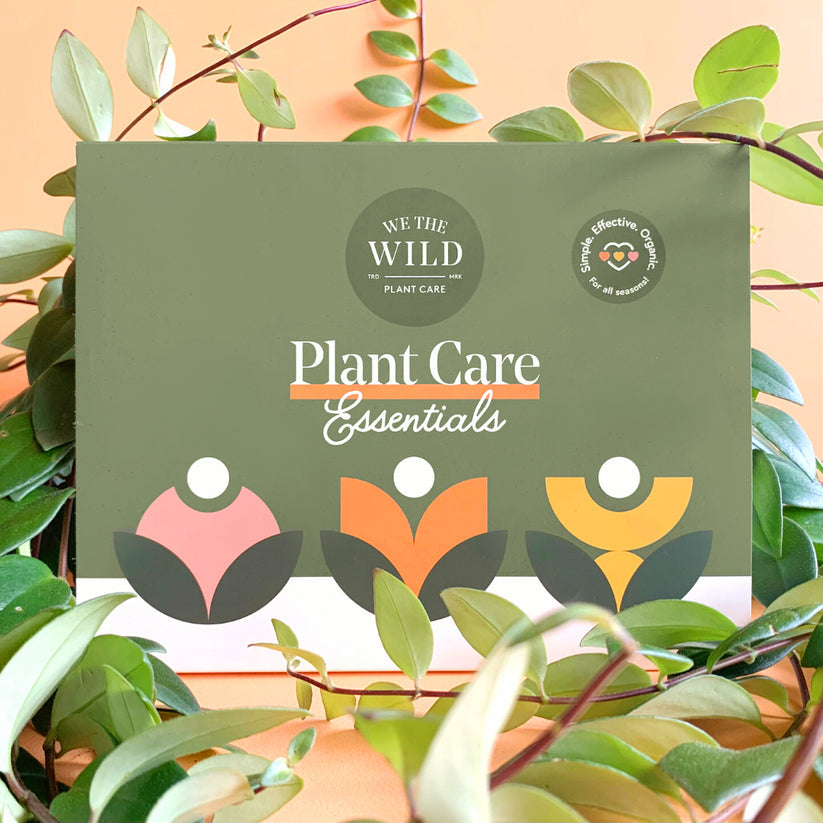 Essential Houseplant Care Kit