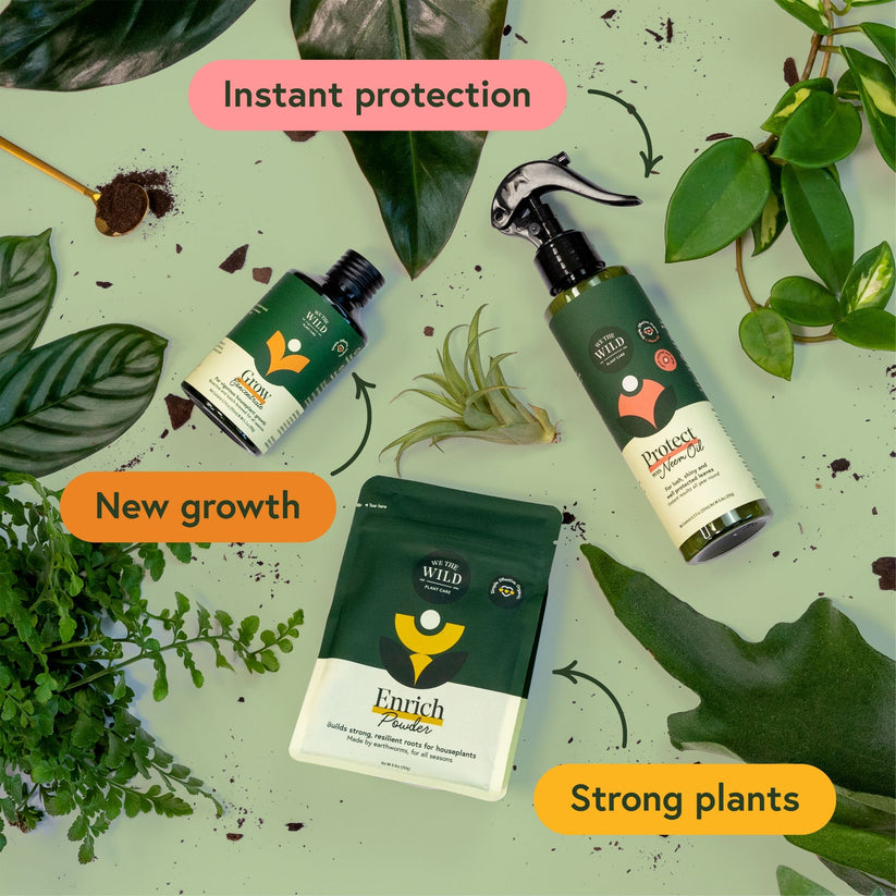 Essential Houseplant Care Kit