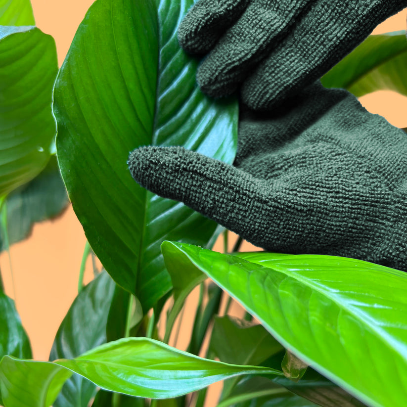 Leaf Cleaning Gloves