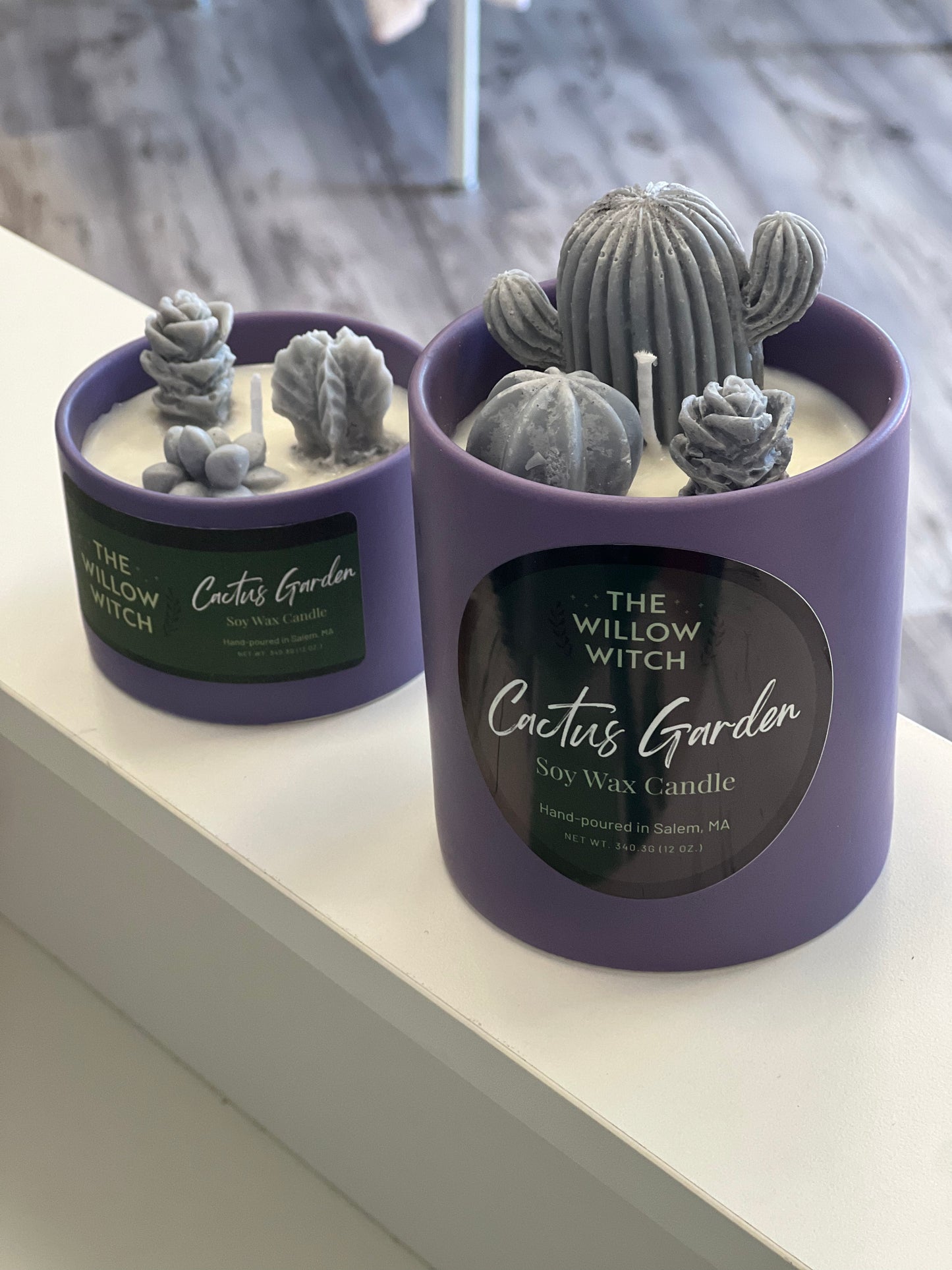 Mini Cactus Garden Candle