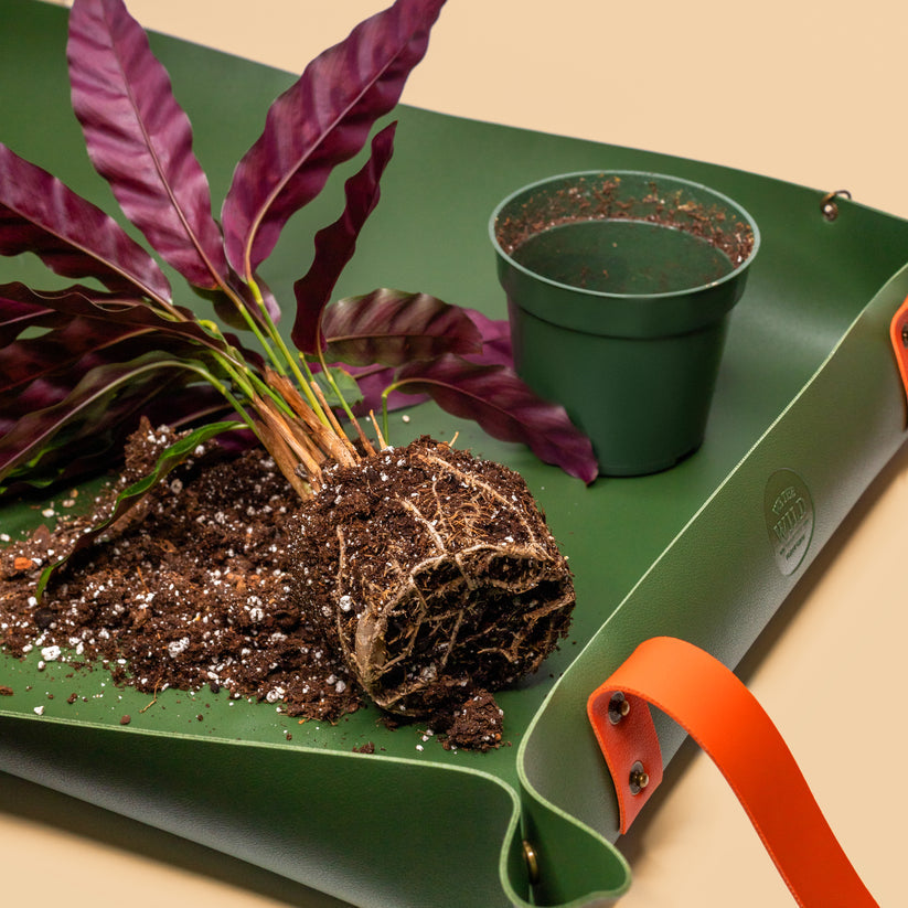 Reusable Potting Mat