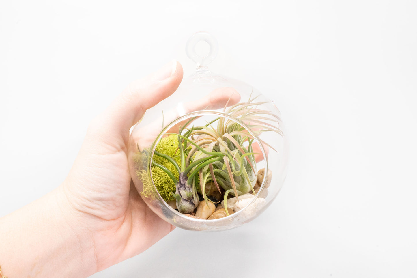 Set of 2 Stunning Hanging Glass Terrariums with Flat Bottoms