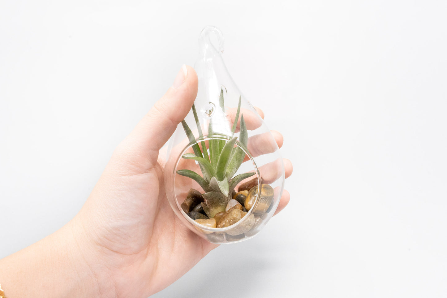 SALE - Set of 3 Airy Teardrop Terrariums with Flat Bottoms