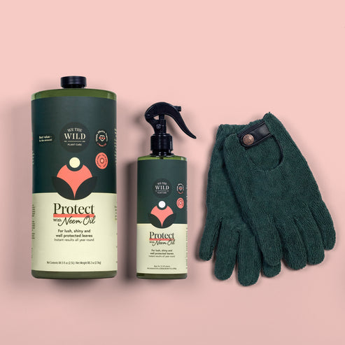 Leaf Care Duo Kit