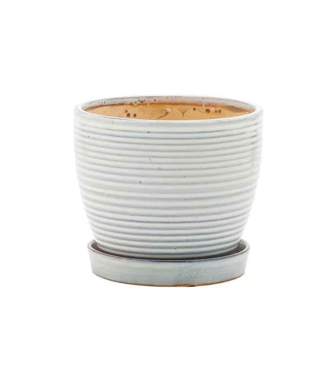 Ribbed White Pot