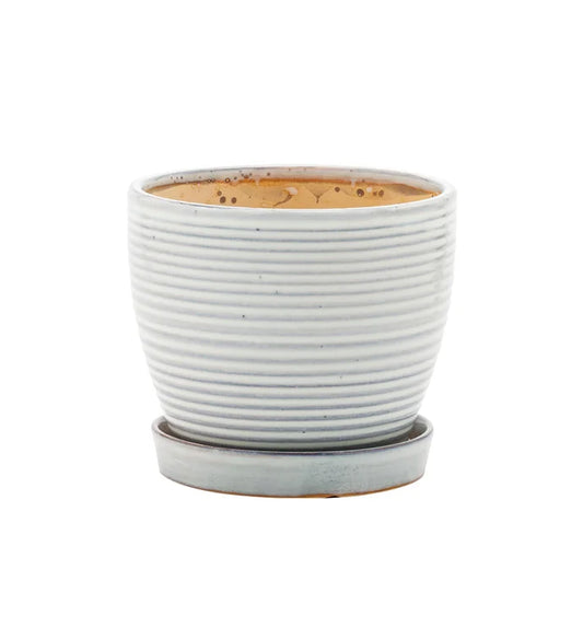 Ribbed White Pot - 4.5"